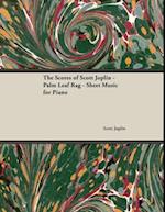 Scores of Scott Joplin - Palm Leaf Rag - Sheet Music for Piano