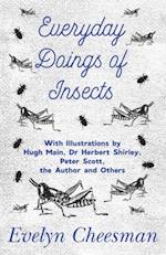 Everyday Doings of Insects - With Illustrations by Hugh Main, Dr Herbert Shirley, Peter Scott, the Author and Others