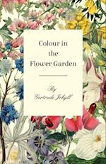 Colour in the Flower Garden