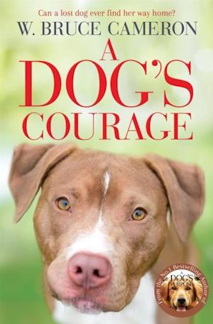 Dog's Courage