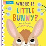 Where is Little Bunny?