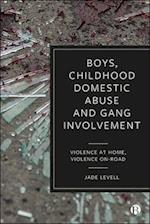 Boys, Childhood Domestic Abuse and Gang Involvement