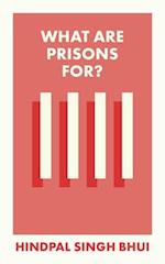 What Are Prisons For?