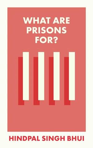 What Are Prisons For?