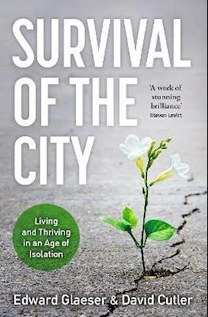 Survival of the City