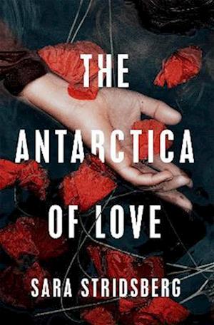 The Antarctica of Love