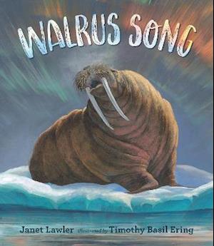 Walrus Song