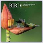 2023 Bird Photographer of the Year Wall Calendar Plastic Free