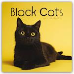 Black Cats - Schwarze Katzen 2025 - Wand-Kalender