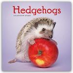 Hedgehogs - Igel 2025 - Wand-Kalender