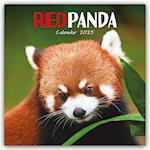 Red Panda - Rote Pandas - Rote Pandabären 2025 - Wand-Kalender