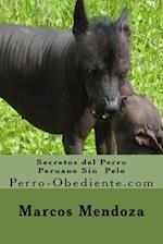 Secretos del Perro Peruano Sin Pelo