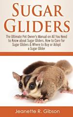 Sugar Gliders