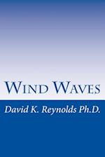 Wind Waves