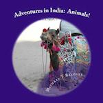 Adventures in India