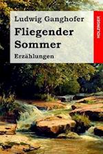 Fliegender Sommer