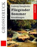 Fliegender Sommer (Großdruck)