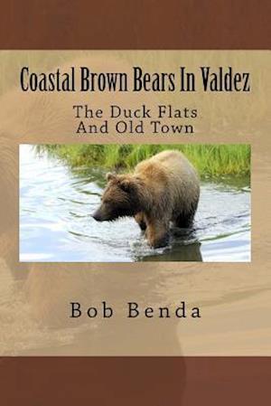 Coastal Brown Bears in Valdez