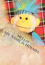 Hello! My Name Is Holmes