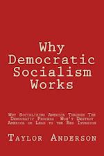 Why Democratic Socialism Works