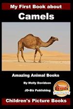 My First Book about Camels - Amazing Animal Books - Children's Picture Books