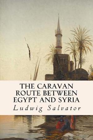 The Caravan Route Between Egypt and Syria