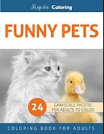 Funny Pets