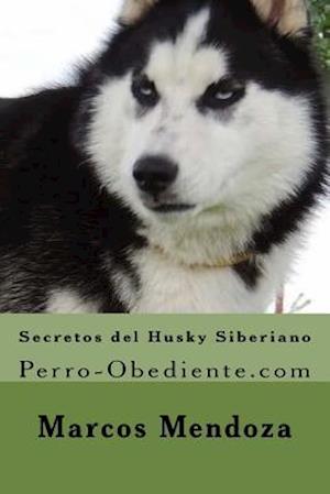 Secretos del Husky Siberiano
