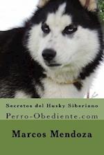 Secretos del Husky Siberiano