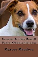 Secretos del Jack Russell