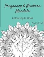 Pregnancy and Newborn Mandala Colouring in Book