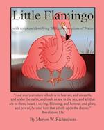 Little Flamingo: identifying Biblical expressions of Praise 