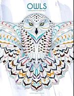 Owls Coloring Book for Grown-Ups 2