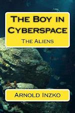 The Boy in Cyberspace