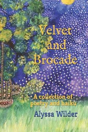 Velvet and Brocade