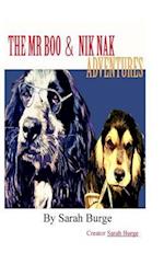 The MR Boo & Nik Nak Adventures
