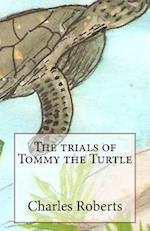 The Trials of Tommy the Turtle