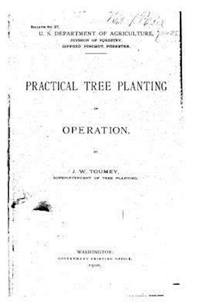 Practical Tree Planting in Operation