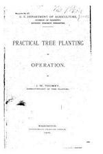 Practical Tree Planting in Operation