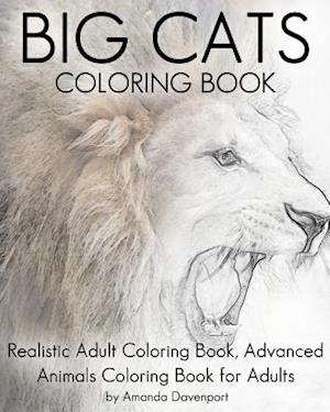 Big Cats Coloring Book