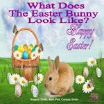 What Does the Easter Bunny Look Like?