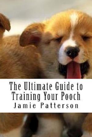 The Ultimate Guide to Training Your Pooch