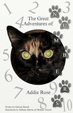 The Great Adventures of Addie Rose Numbers