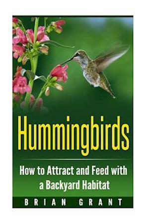 Hummingbirds