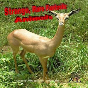 Strange Rare Fantastic Animals