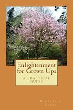 Enlightenment for Grown Ups