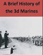 A Brief History of the 3D Marines