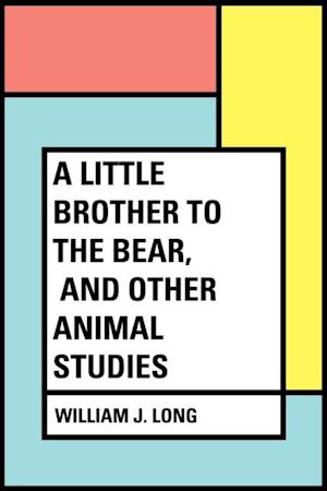 Little Brother to the Bear, and other Animal Studies