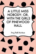 Little Miss Nobody; Or, With the Girls of Pinewood Hall