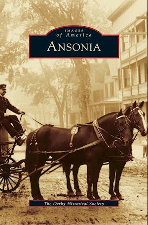 Ansonia